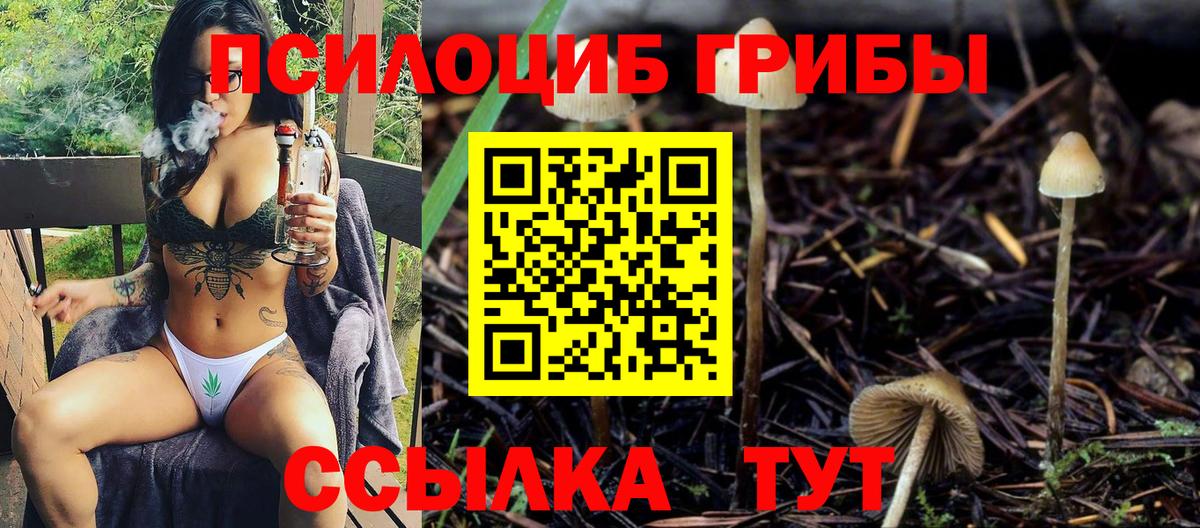Галлюциногенные грибы Cubensis Петрозаводск