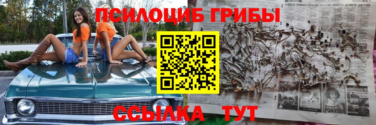 Петрозаводск  Псилоцибиновые грибы мицелий  Вход с VPN 