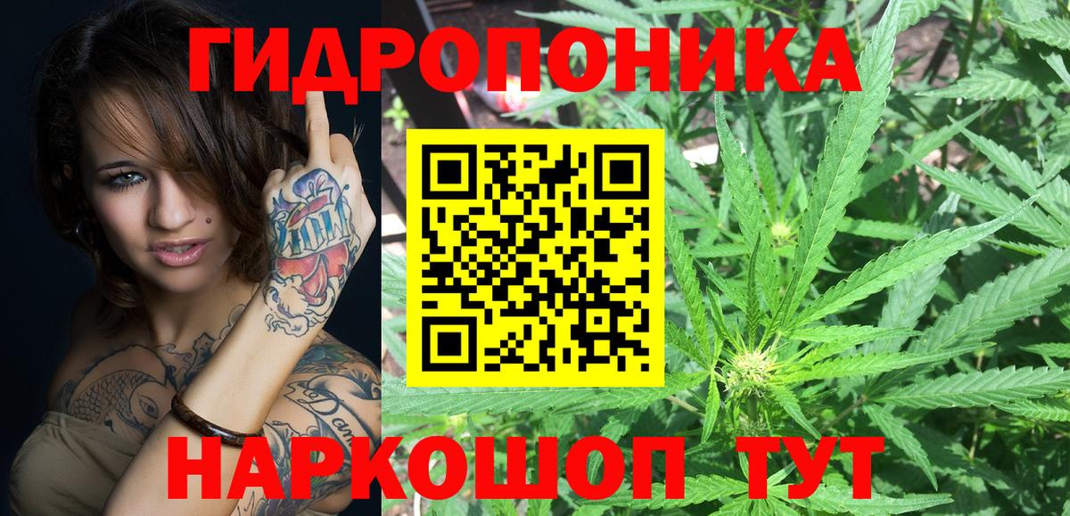 Бошки марихуана Amnesia Петрозаводск